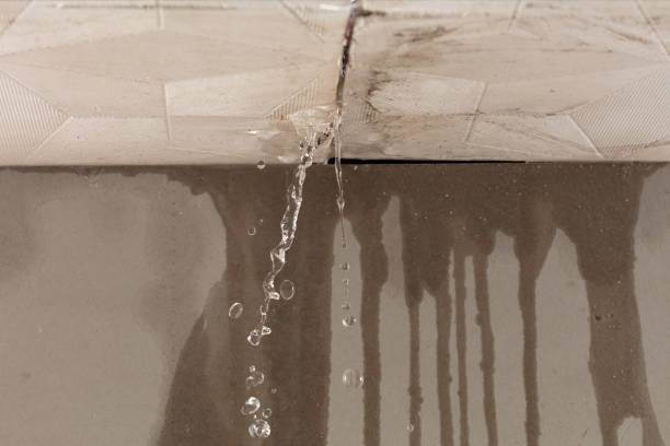 Professional Water Damage Restoration technician working in Fulton, IL